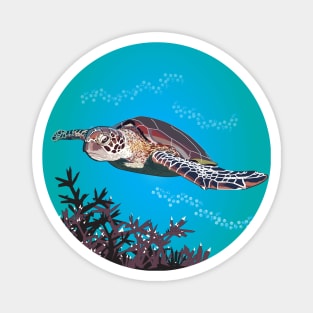 Green Sea Turtle Magnet